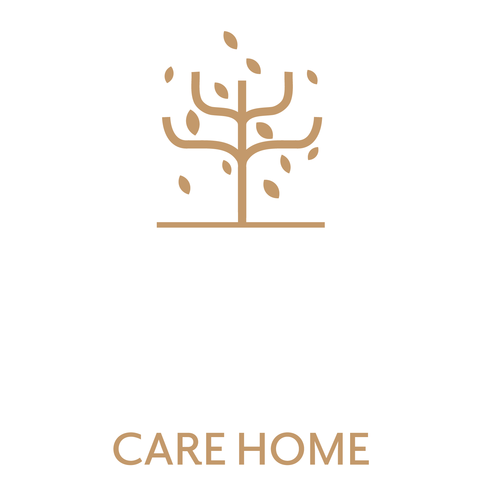 Casa di Lusso Care Home logo