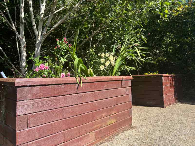 Raised beds in the garden at Casa di Luso care home in Somerset